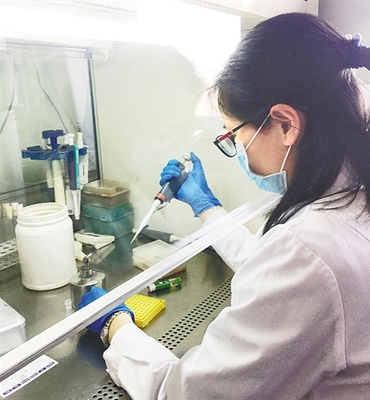 我国自主研发青贮饲料专用复合微生物菌剂 生物饲料研发的新里程碑